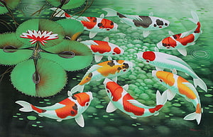 Vibrant Koi Fish Swimming in a Lotus Pond with Water Lilies and Ripples HD wallpaper