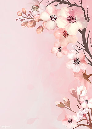 Hand-drawn pastel cherry blossom branch illustration with soft pink petals and dark branches HD phone wallpaper