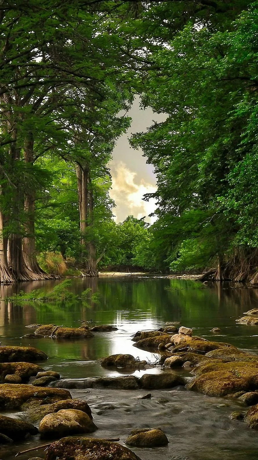 Serene River Flowing Through Lush Green Forest With Mossy Rocks And Reflections HD phone wallpaper