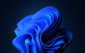 Windows 11 Default Blue Abstract 3D Flower Wallpaper HD wallpaper