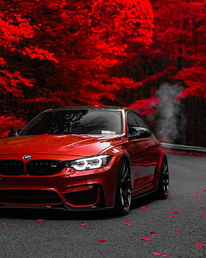 Red BMW M2 Coupe on a Forest Road with Vibrant Autumn Foliage and Exhaust Smoke HD phone wallpaper