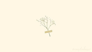 Minimalist Baby's Breath Flowers Taped to Cream Background HD wallpaper