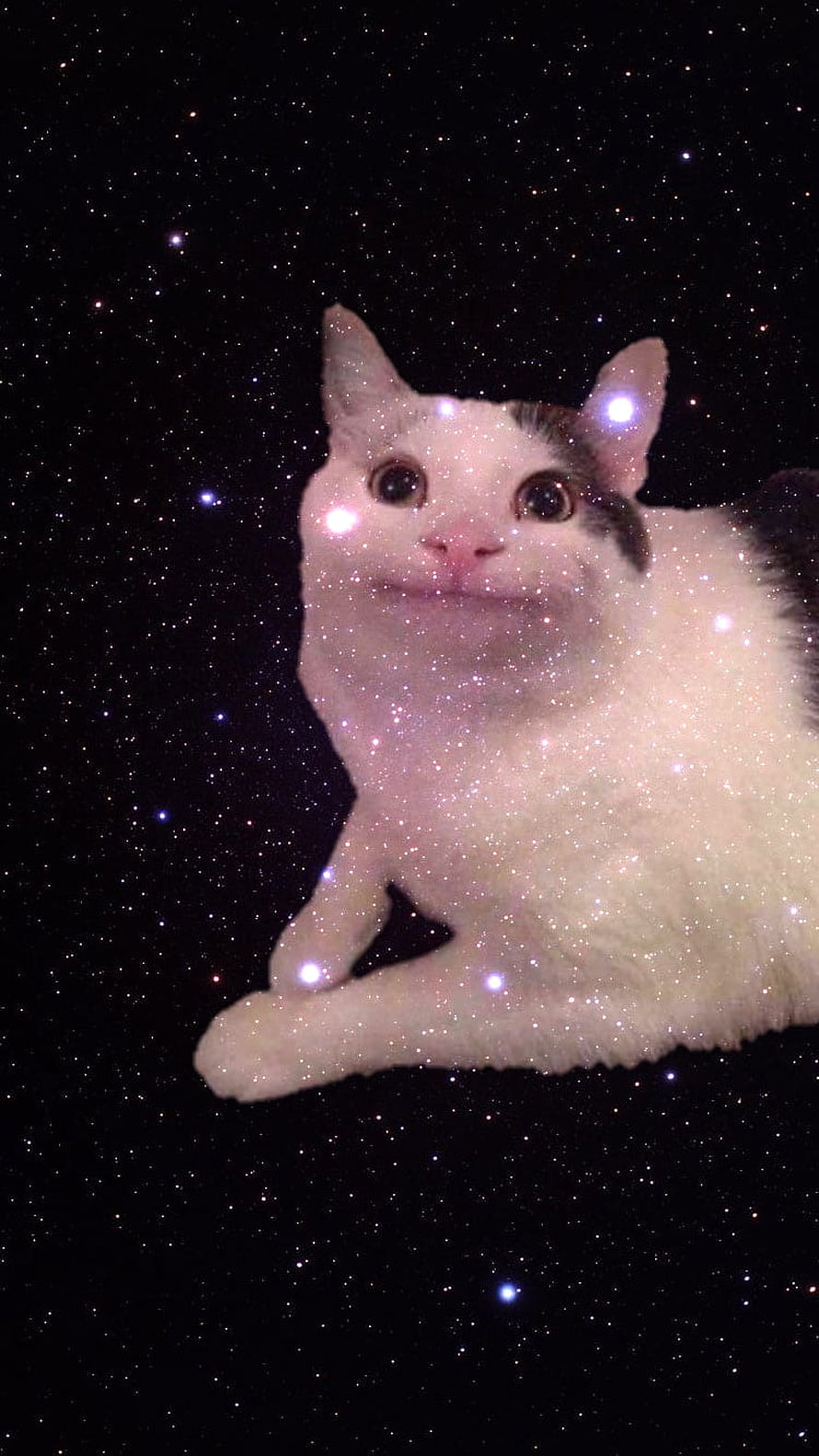 Bongo Cat Meme: White Cat with Sparkling Galaxy Background HD phone wallpaper