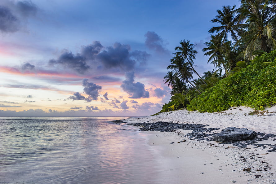 Serene Tropical Beach at Sunset with Palm Trees and Calm Ocean Waters HD wallpaper