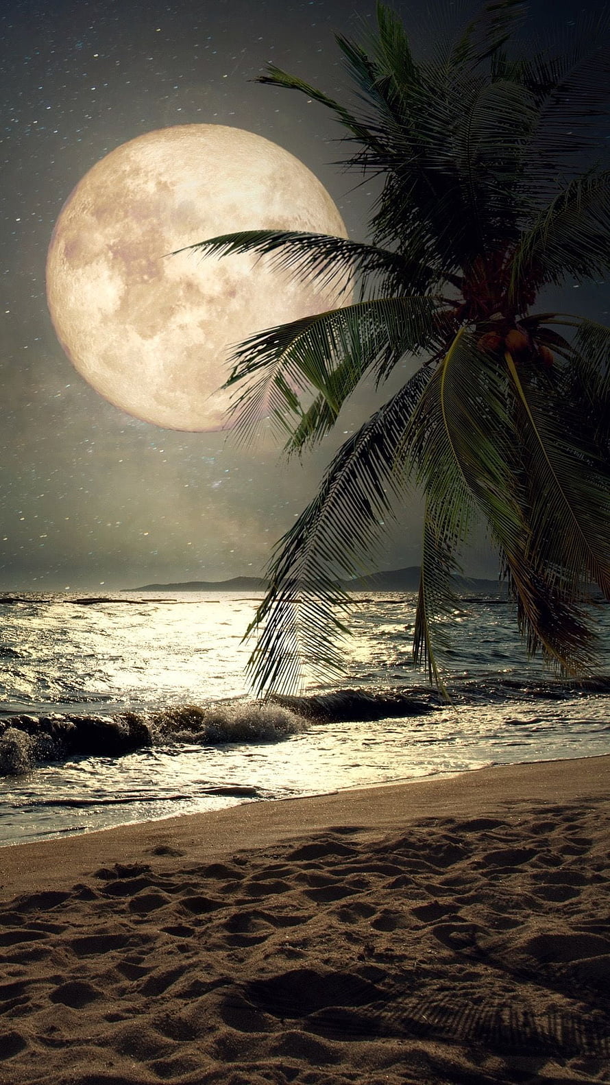 Serene Night Beach Scene With Giant Full Moon And Palm Tree Silhouette HD phone wallpaper