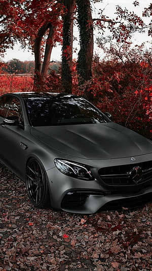 Matte Black Mercedes-AMG C63 S Coupe in Autumn Forest with Red Leaves HD phone wallpaper