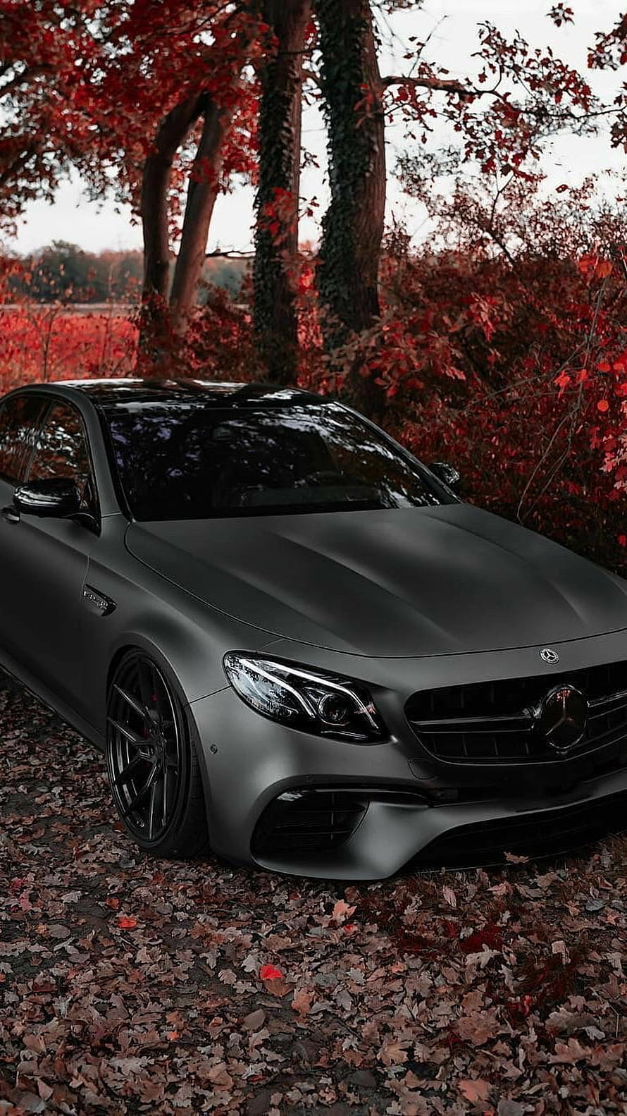 Matte Black Mercedes-AMG C63 S Coupe in Autumn Forest with Red Leaves HD phone wallpaper
