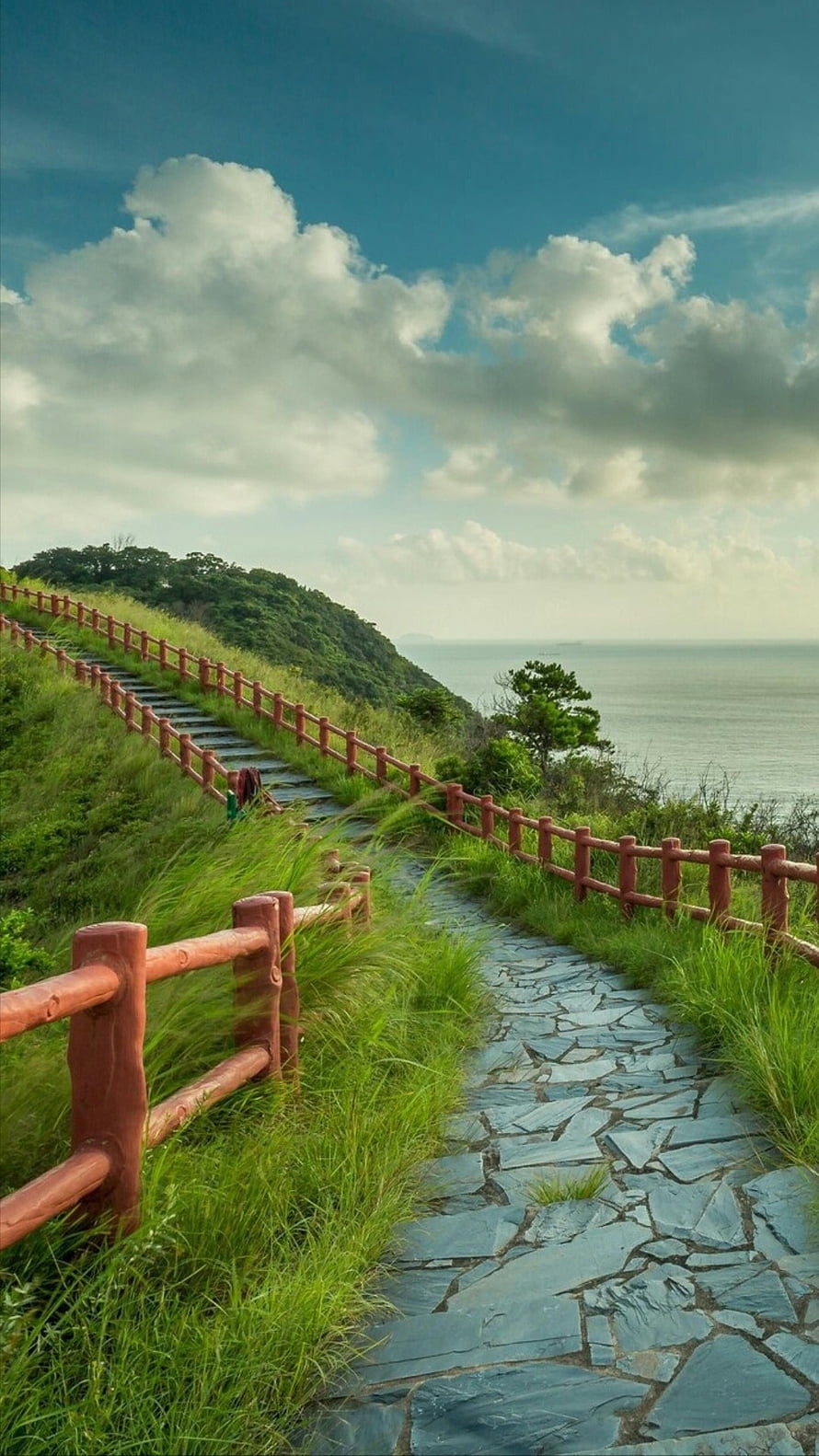 Scenic Stone Pathway Winding Along a Lush Green Cliffside Overlooking the Ocean HD phone wallpaper