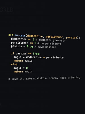 Python Code Snippet Defining Success With Dedication Persistence And Passion HD phone wallpaper