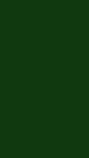 Minimalist Dark Forest Green Solid Color Background HD phone wallpaper
