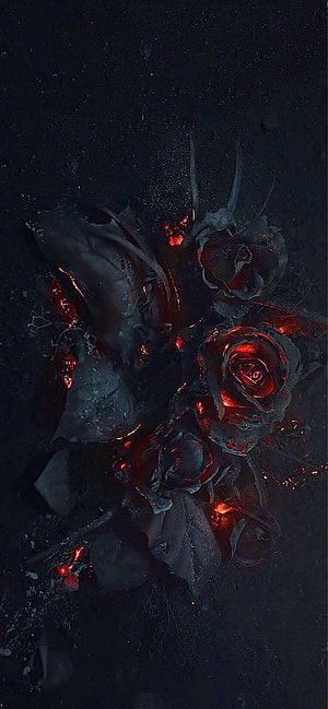 Dark Fantasy Burning Roses with Glowing Ember Cores and Charred Petals HD phone wallpaper