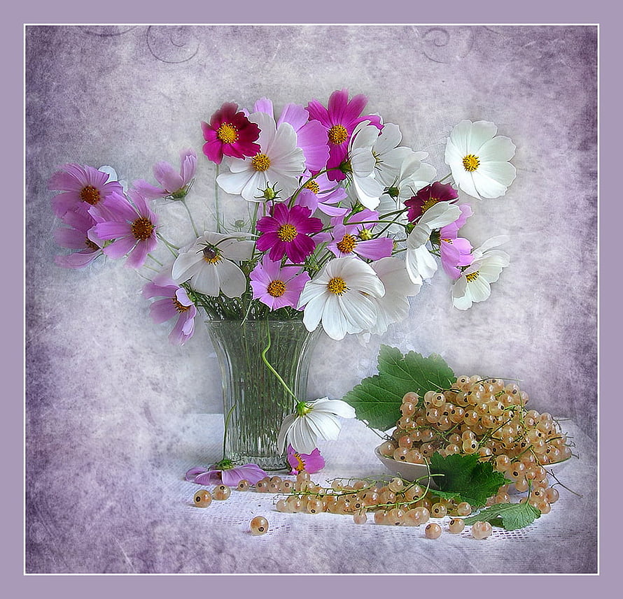 Elegant Still Life with Cosmos Flowers and White Currants in a Glass Vase HD wallpaper
