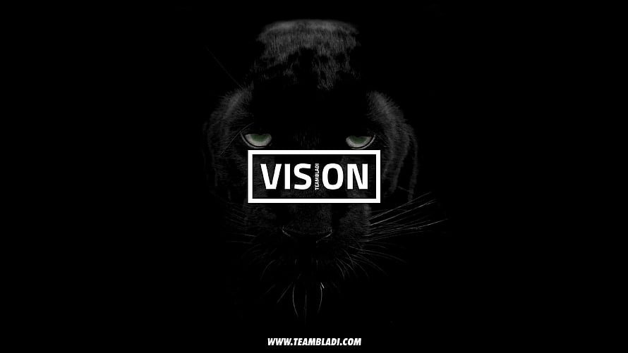 Black Panther Vision Character Face With Glowing Green Eyes In Dark Background HD wallpaper