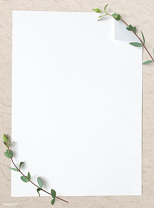 Minimalist white paper sheet with green eucalyptus sprigs on beige background HD phone wallpaper