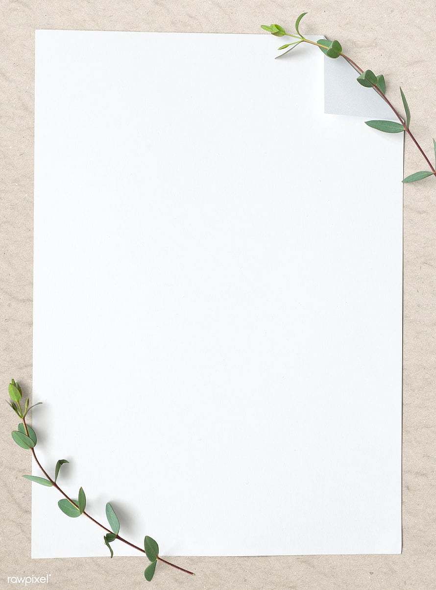 Minimalist white paper sheet with green eucalyptus sprigs on beige background HD phone wallpaper
