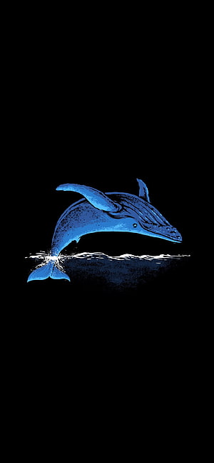 Minimalist Blue Whale Breaching Dark Background Illustration HD phone wallpaper