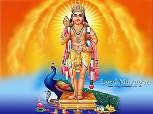 Lord Murugan Divine Deity Standing on Peacock with Radiant Golden Halo and Sacred Offerings HD wallpaper