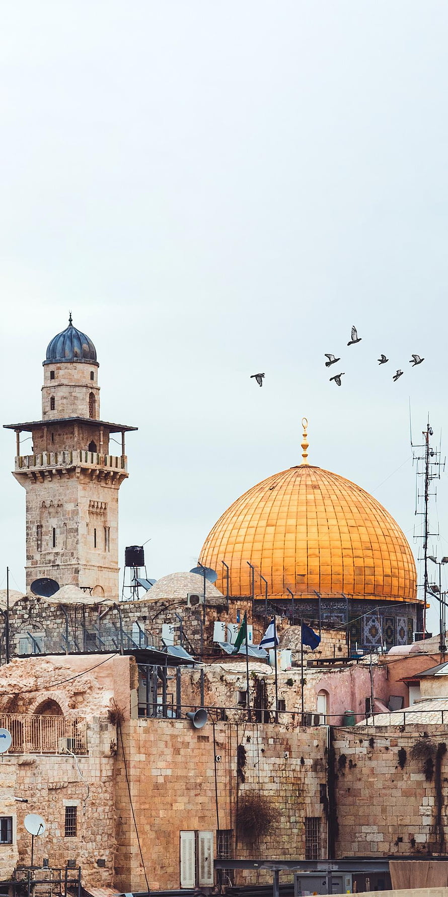 Dome of the Rock and Al-Jazar Minaret in the Old City of Jerusalem HD phone wallpaper