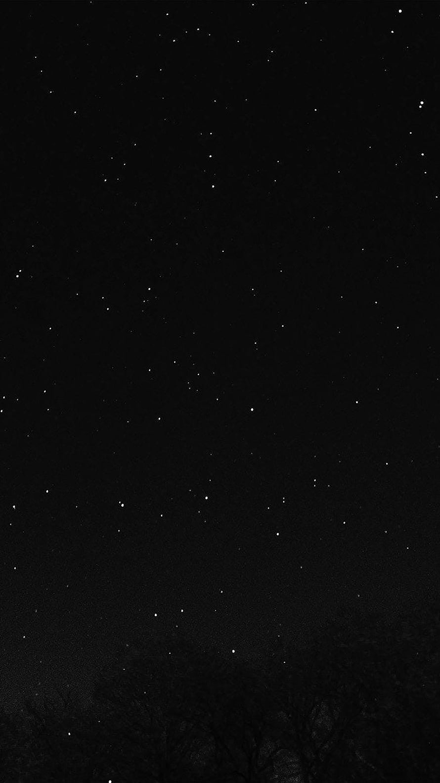 Minimalist Starry Night Sky with Silhouetted Tree Branches HD phone wallpaper