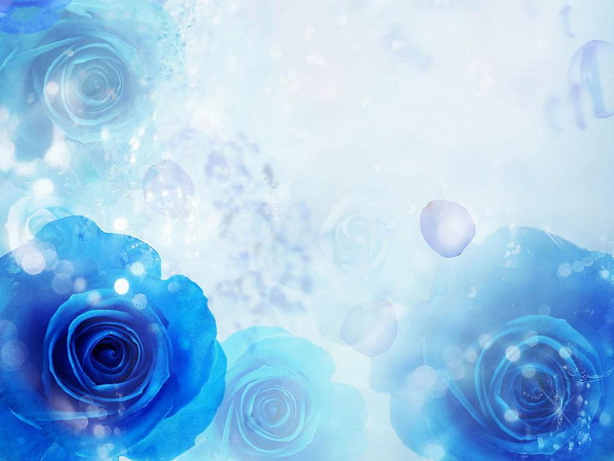Ethereal Blue Roses with Soft Bokeh and Dreamy Light Flare HD wallpaper