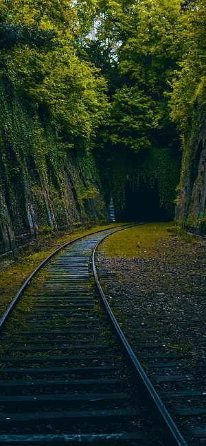 Mossy railway tracks curving through a dense forest tunnel with lush green canopy overhead HD phone wallpaper