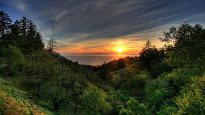 Golden Sunset Over Lush Green Hills and Forested Valley HD wallpaper