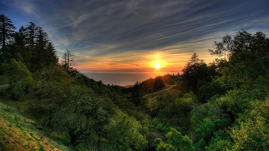 Golden Sunset Over Lush Green Hills and Forested Valley HD wallpaper