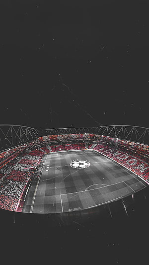 Emirates Stadium Night Match Atmosphere with Arsenal Fans and Champions League Logo HD phone wallpaper
