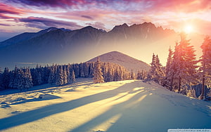 Sunset Over Snowy Mountain Peaks With Pine Forest And Golden Light HD wallpaper
