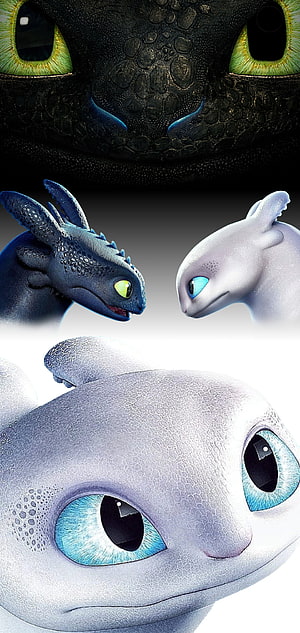 Toothless and Light Fury Dragon Close-Up Portrait from How to Train Your Dragon HD phone wallpaper