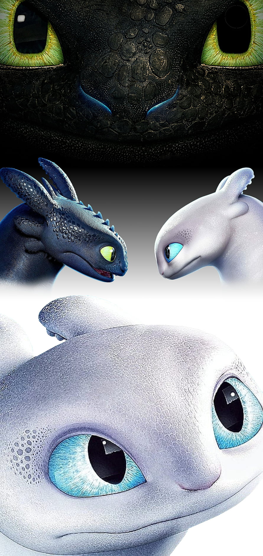 Toothless and Light Fury Dragon Close-Up Portrait from How to Train Your Dragon HD phone wallpaper