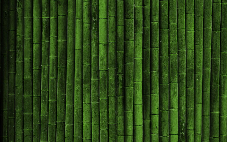 Vertical Green Bamboo Stalks Texture Background HD wallpaper