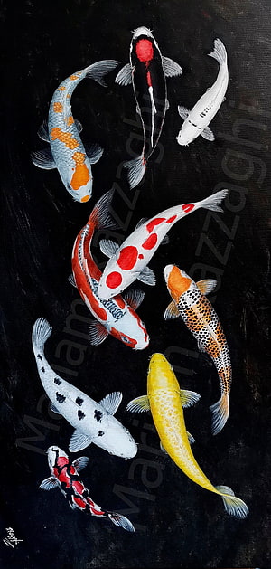 Colorful Koi Fish Painting on Black Background HD phone wallpaper