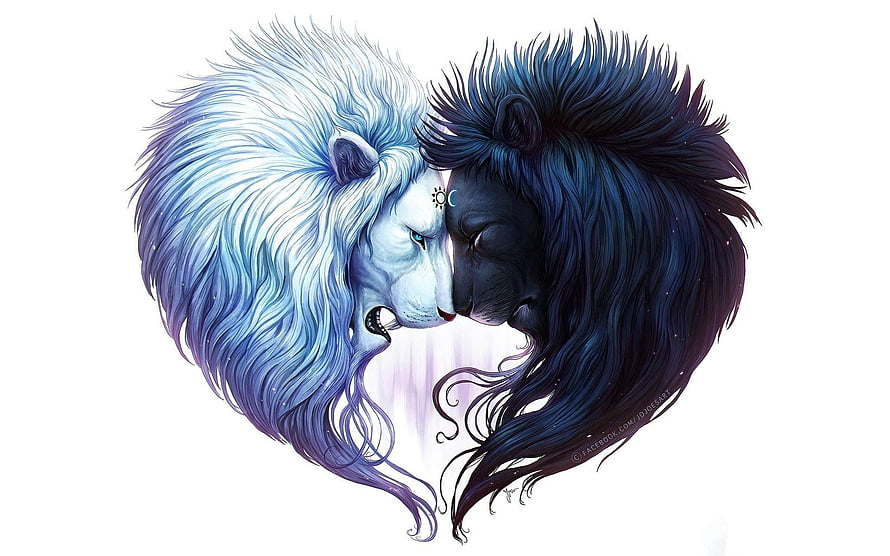 Duality of Light and Dark: White and Black Lion Digital Art Illustration HD wallpaper