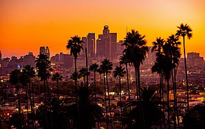 Los Angeles skyline at sunset with palm trees silhouetted against a vibrant orange sky HD wallpaper