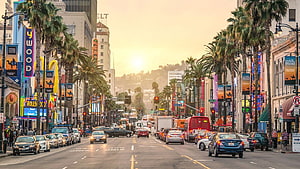 Sunset View Down Hollywood Boulevard in Los Angeles with Palm Trees and City Traffic HD wallpaper