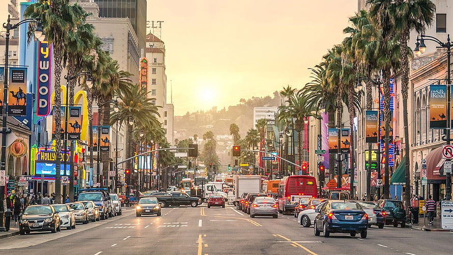 Sunset View Down Hollywood Boulevard in Los Angeles with Palm Trees and City Traffic HD wallpaper