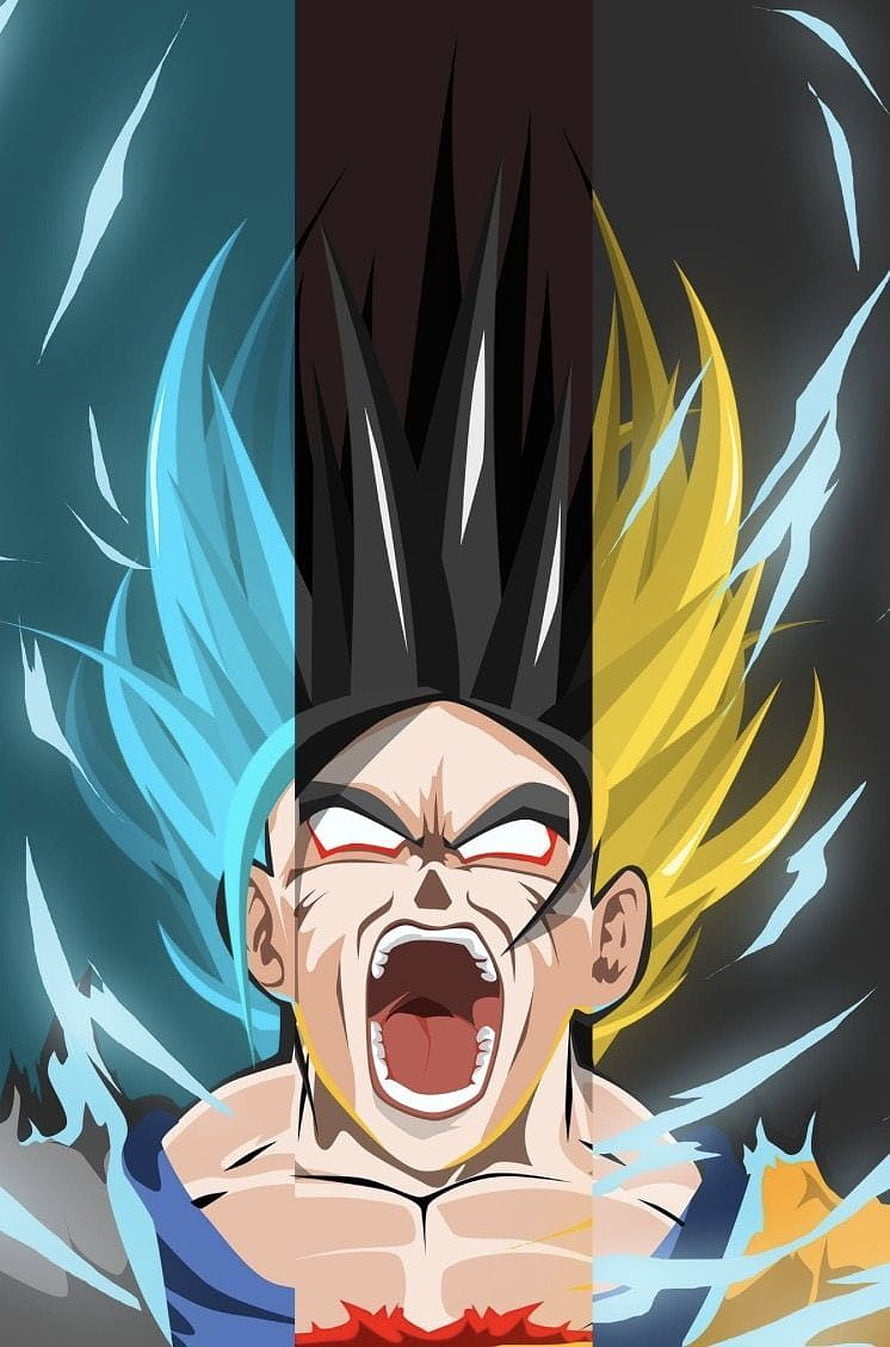 Goku Super Saiyan Blue and Super Saiyan 3 Transformation Anime Wallpaper HD phone wallpaper