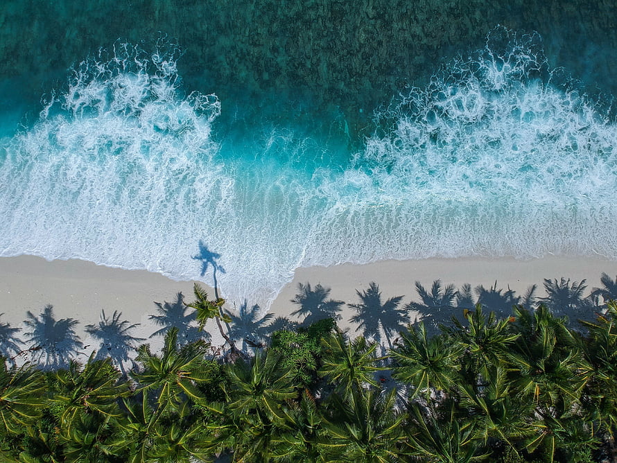 Aerial View of Turquoise Ocean Waves Crashing on White Sand Beach with Palm Trees HD wallpaper