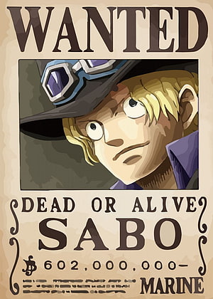 Sabo Wanted Poster One Piece Anime Character Illustration HD phone wallpaper