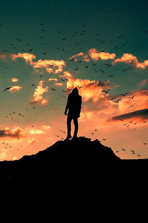 Silhouette of a person standing on a rocky peak surrounded by a flock of birds against a vibrant sunset sky with orange and teal clouds HD phone wallpaper
