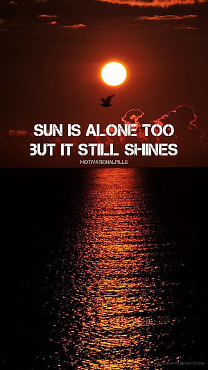 Solitary Bird Silhouette Against Vibrant Sunset Over Dark Ocean Water HD phone wallpaper