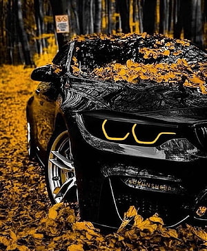 Black Luxury Car Parked in Autumn Leaves with Golden Headlights HD phone wallpaper