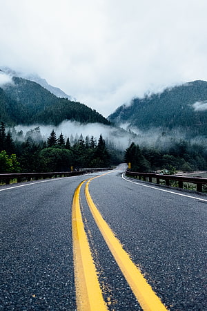 Misty Mountain Highway Winding Through Foggy Evergreen Forest HD phone wallpaper