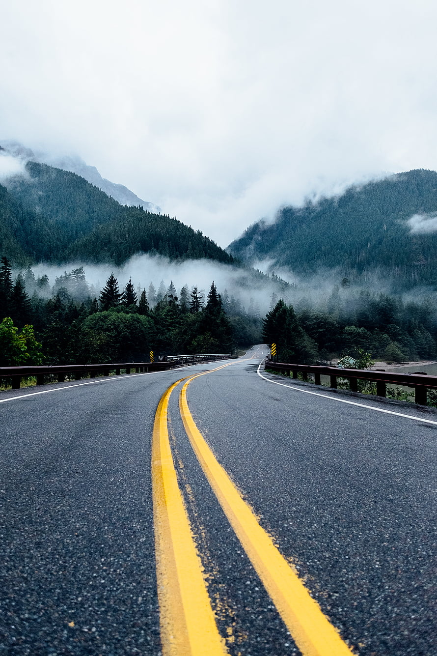 Misty Mountain Highway Winding Through Foggy Evergreen Forest HD phone wallpaper