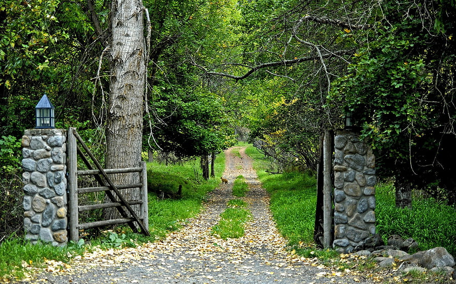 Rustic Stone Gate and Wooden Fence Framing a Leaf-Strewn Forest Path HD wallpaper