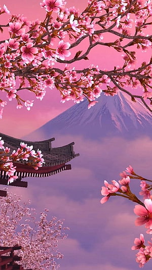 Cherry Blossoms and Mount Fuji with Traditional Japanese Temple Roof in Pastel Pink Sky HD phone wallpaper
