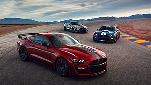 Ford Mustang Shelby GT500 lineup on a desert racetrack at dusk HD wallpaper