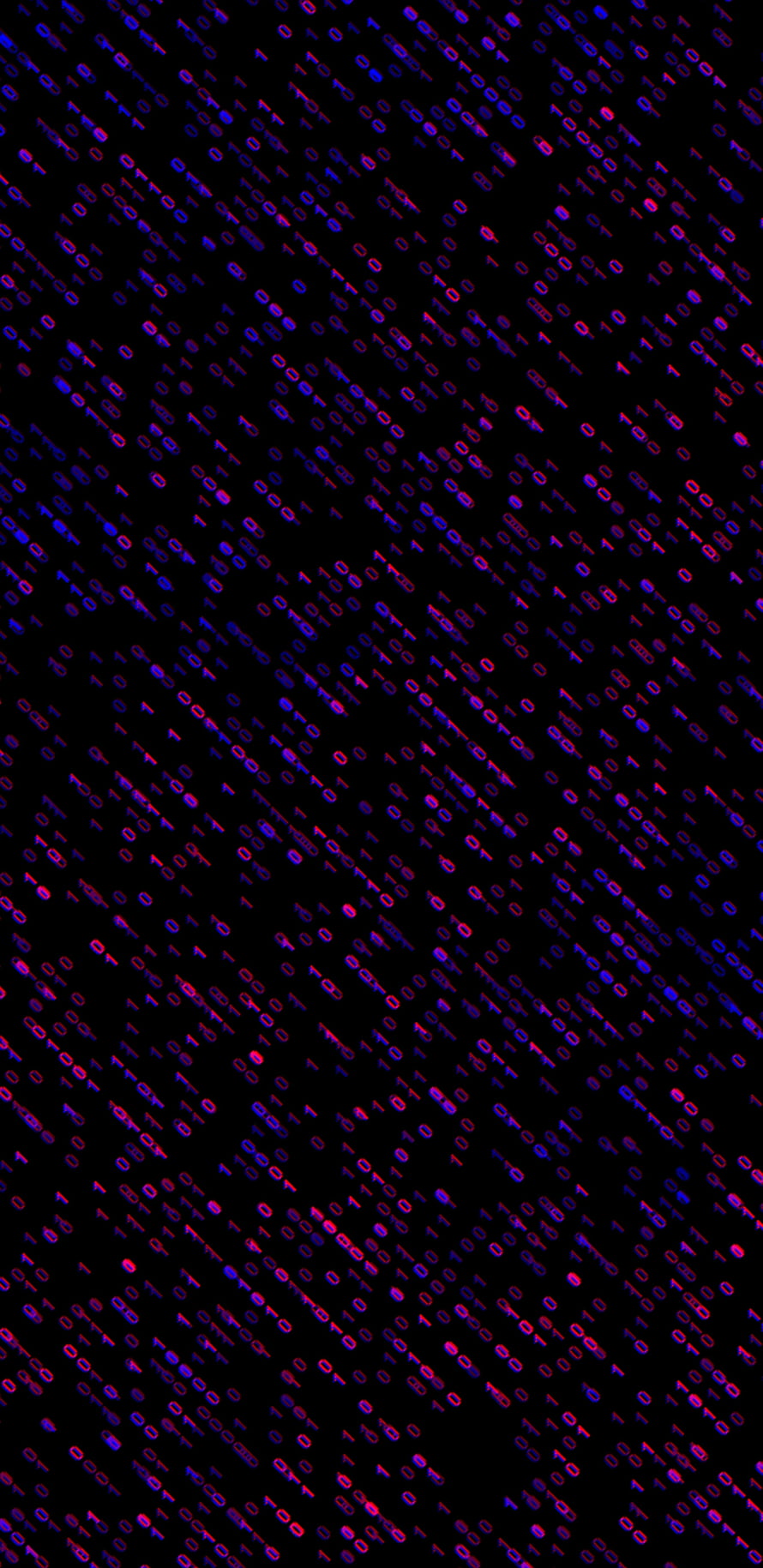 Neon Binary Code Matrix Digital Rain Abstract Technology Background HD phone wallpaper