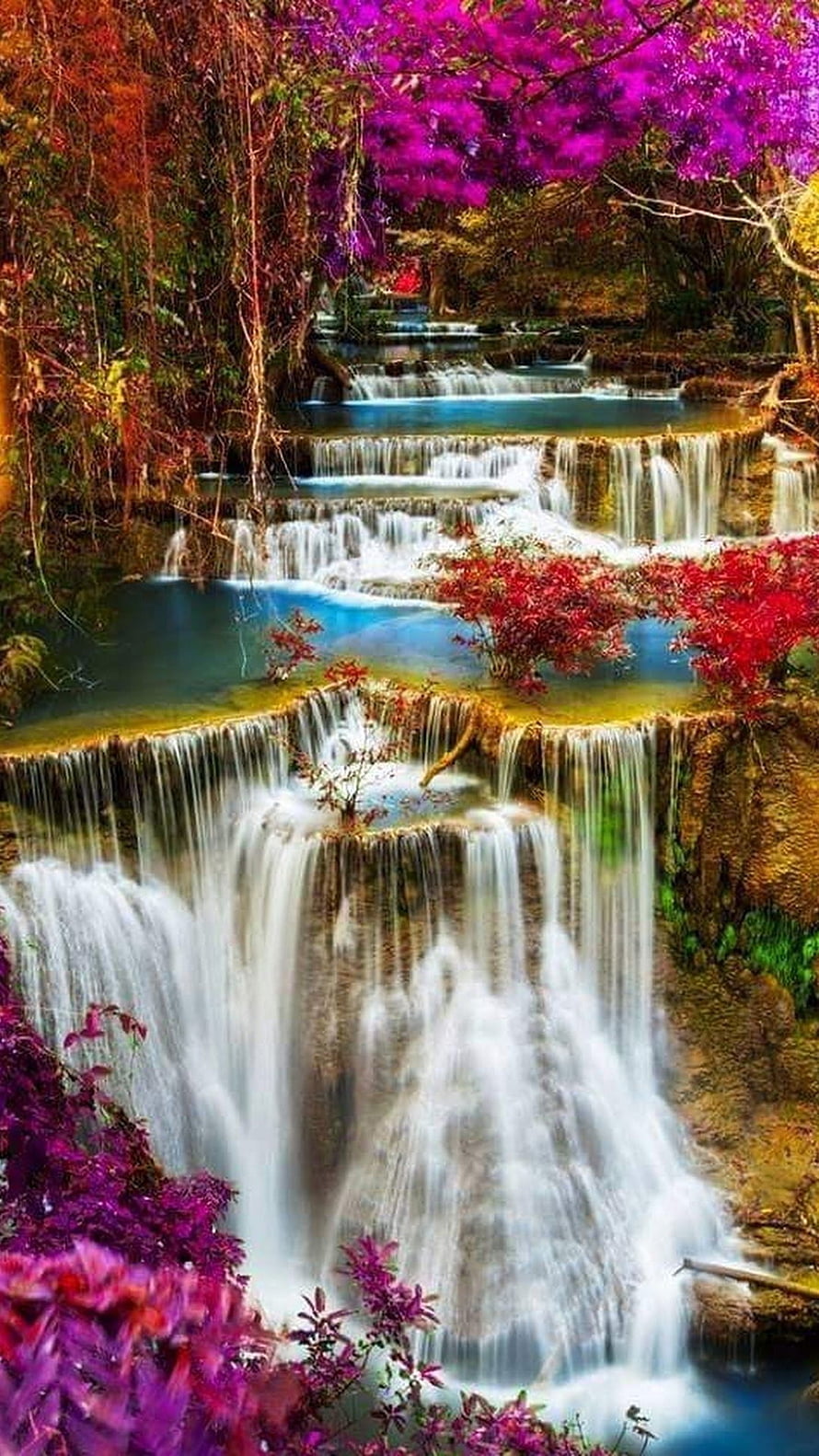 Vibrant Tiered Waterfall Cascading Through Lush Tropical Forest With Purple Bougainvillea HD phone wallpaper